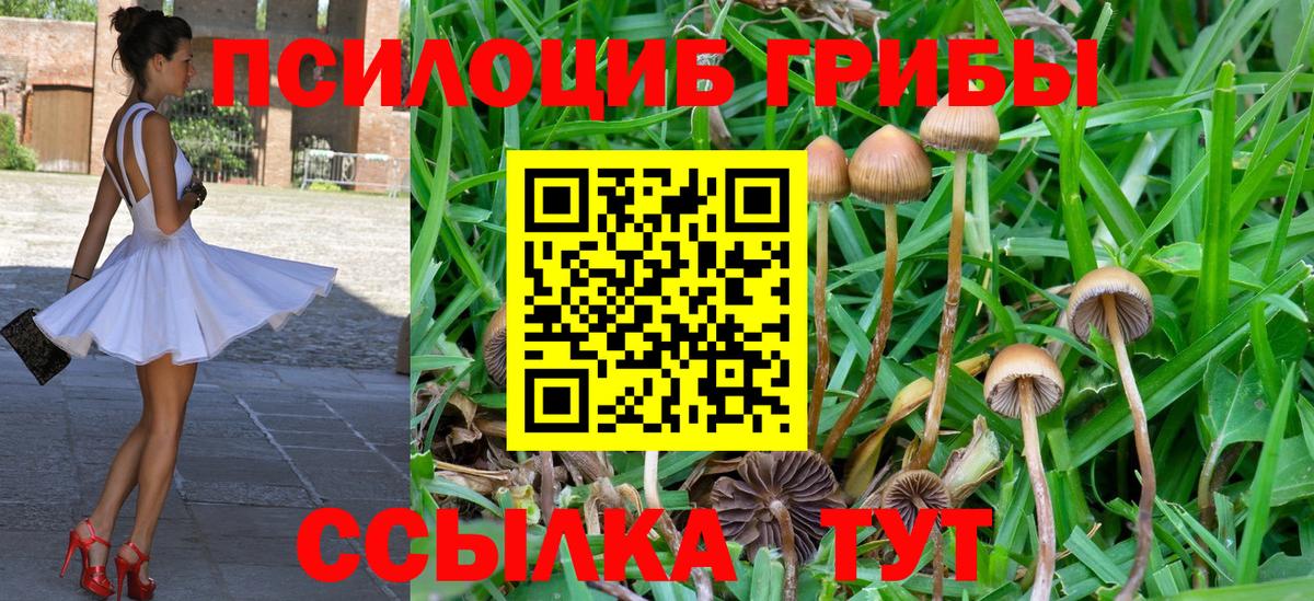 Галлюциногенные грибы мухоморы  Галлюциногенные грибы прущие грибы  Вход с VPN  где продают наркотики  Полевской 