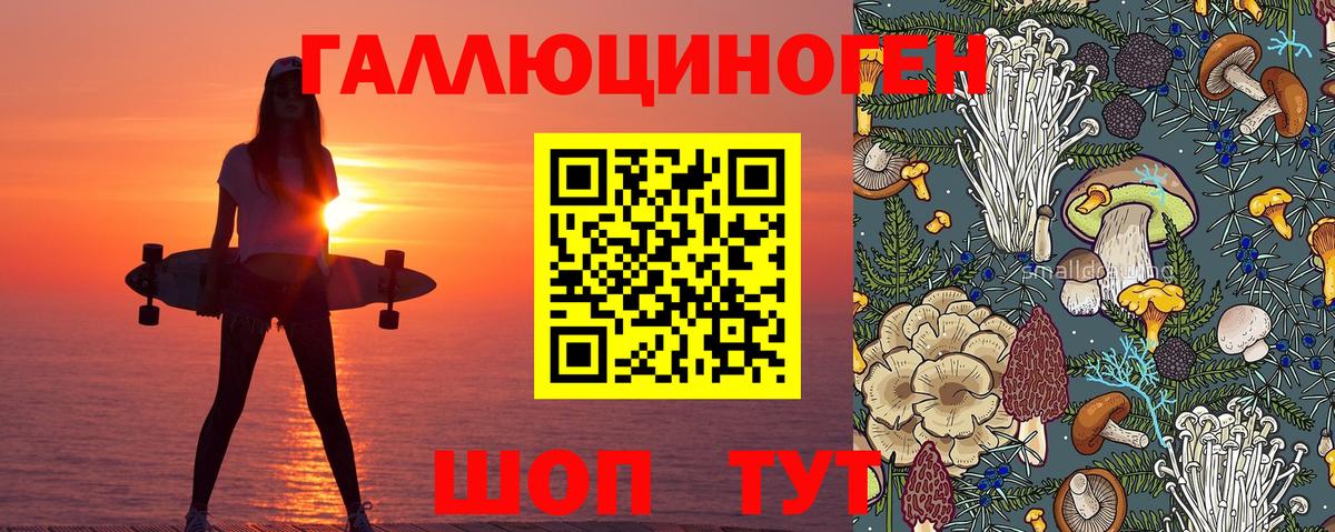 Псилоцибиновые грибы Cubensis Полевской